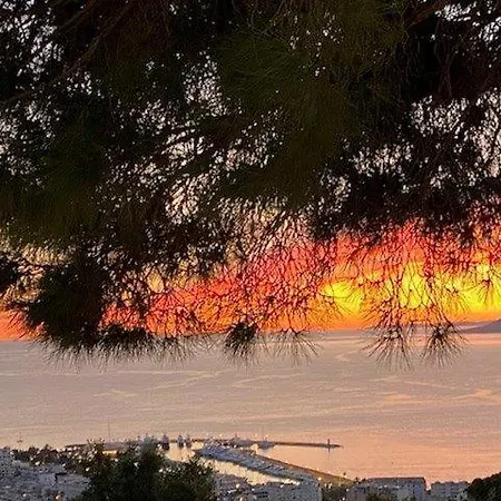 Accommodatie bij particulieren Yuca