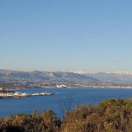 Accommodatie bij particulieren Yuca *