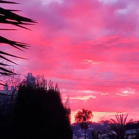 Yuca Accommodatie bij particulieren *