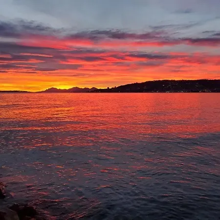 Accommodatie bij particulieren Yuca *