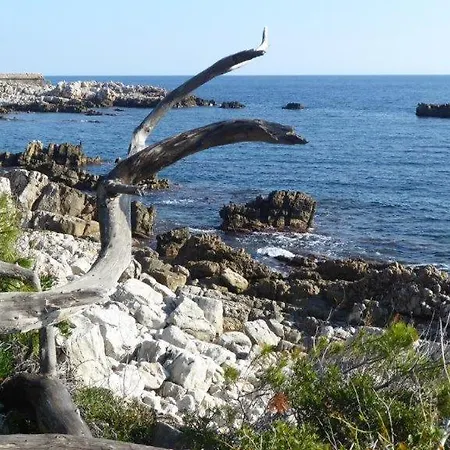 Yuca Habitación en casa particular *