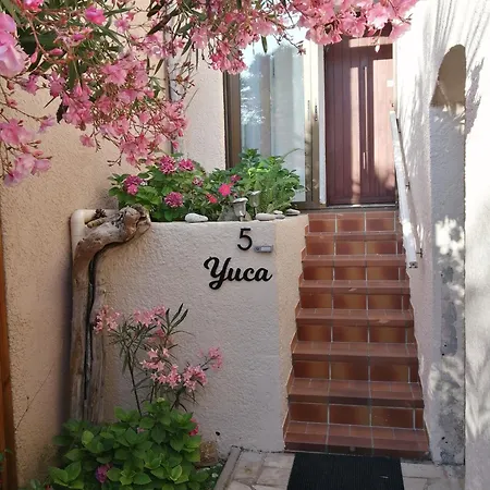 Yuca * Vallauris